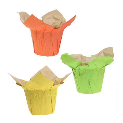 Floristik24 Paper pots green, orange, yellow Ø8cm 12pcs