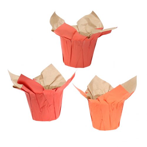 Floristik24 Paper pot planter orange / red Ø8cm 12pcs