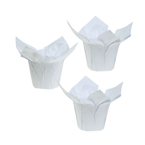 Floristik24 Paper pots white Ø8cm 12pcs