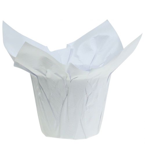 Floristik24 Paper pots white Ø12cm 12pcs
