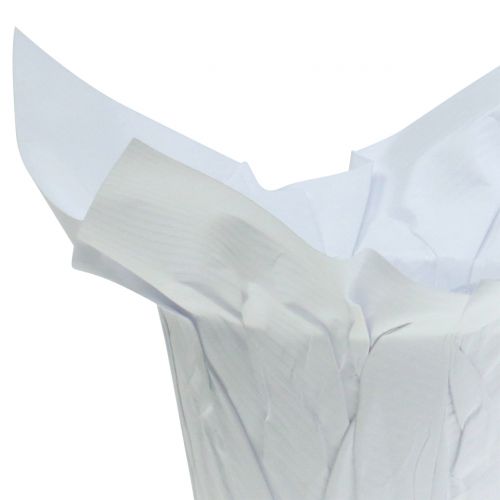 Floristik24 Paper pots white Ø12cm 12pcs