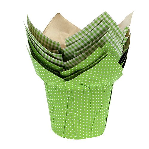 Floristik24 Paper pot Ø10cm H8cm green 8pcs