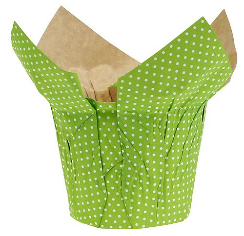 Floristik24 Paper pot Ø12cm H9cm green assort. 8pcs