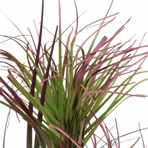 Floristik24 Sedge grass in a pot artificial green, red purple 45cm