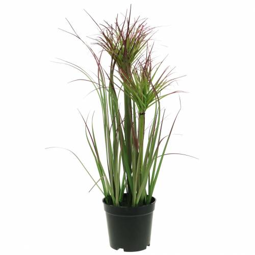 Sedge grass in a pot artificial green, red purple 45cm