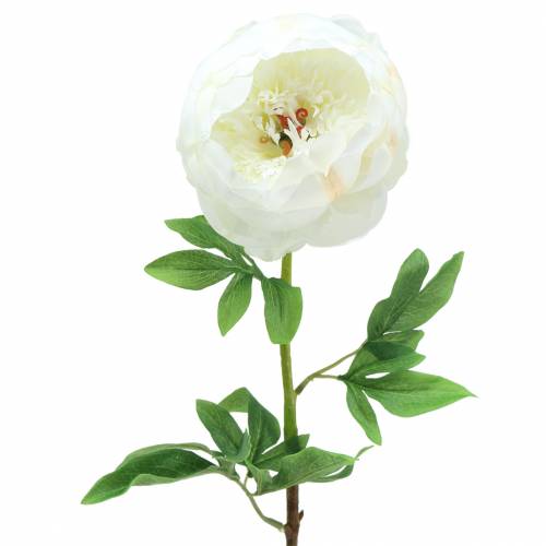 Floristik24 Peony white 59cm