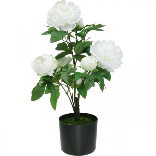 Floristik24 Artificial Paeonia, peony in a pot, decorative plant white flowers H57cm