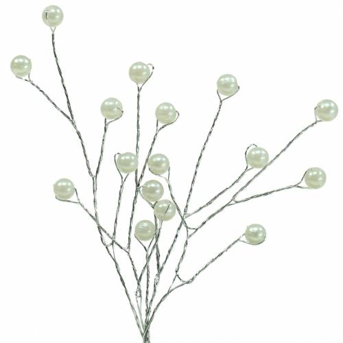 Floristik24 Pearl Branch Champagne L18cm 2 pcs