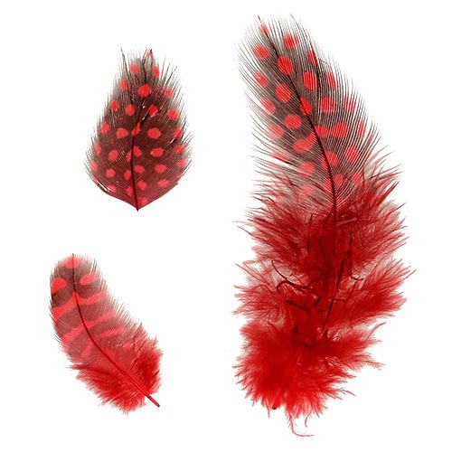 Product Guinea fowl feathers Faraona 30g red