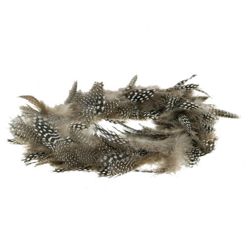 Floristik24 Feather wreath guinea fowl Ø16cm