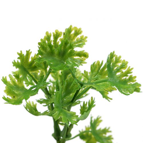 Floristik24 Parsley artificial green 26cm 3pcs