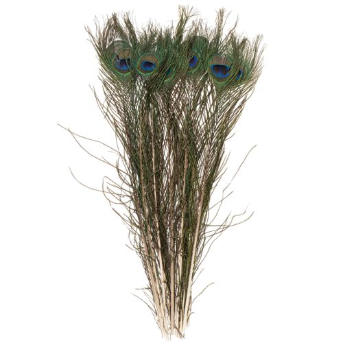 Product Peacock feathers, real bird feathers for crafting and decorating, 55cm, 10 pieces