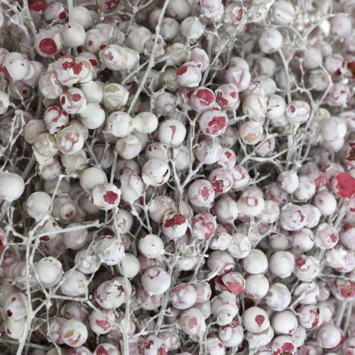 Product Snowed pepper berries, winter decoration, dried flowers, Advent, pink pepper washed white 170g