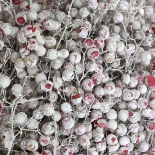 Product Dried pepper twigs for winter and Advent decorations