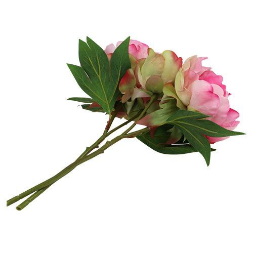 Floristik24 Peonies with bud pink L30cm 2pcs