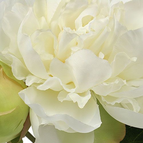 Floristik24 Peonies with bud white L30cm 2pcs
