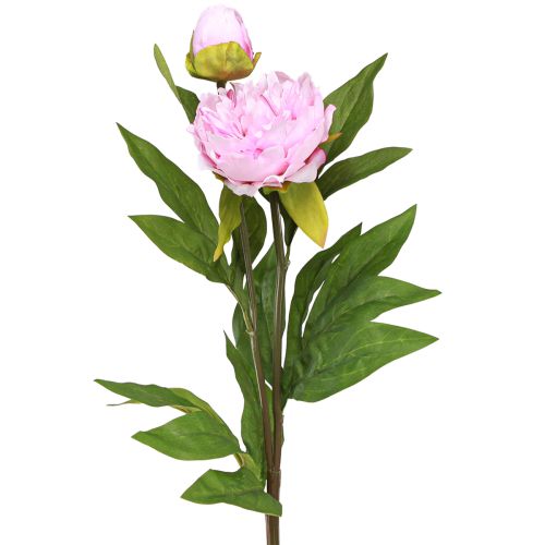 Floristik24 Peony Artificial Flowers Pink with Long Stem 70cm 3pcs