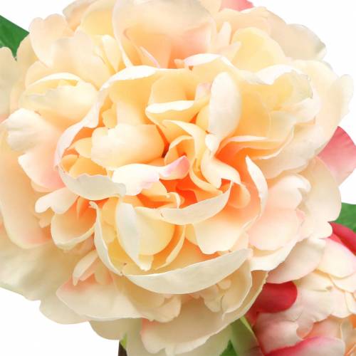 Floristik24 Peony with flower and bud artificial peach 70cm