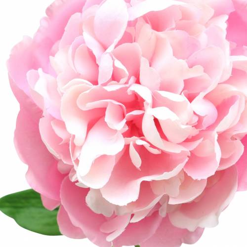 Floristik24 Peony artificial flower with blossom and bud pink 68cm