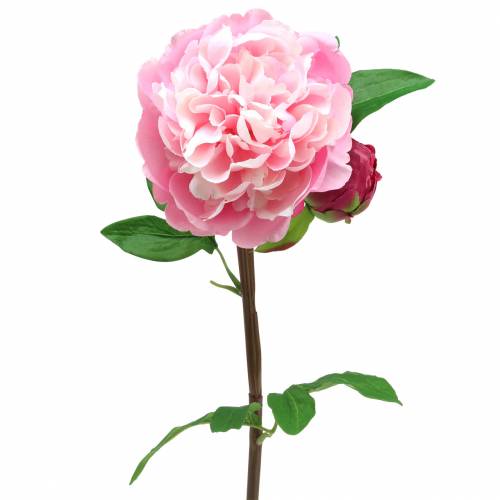 Floristik24 Peony artificial flower with blossom and bud pink 68cm