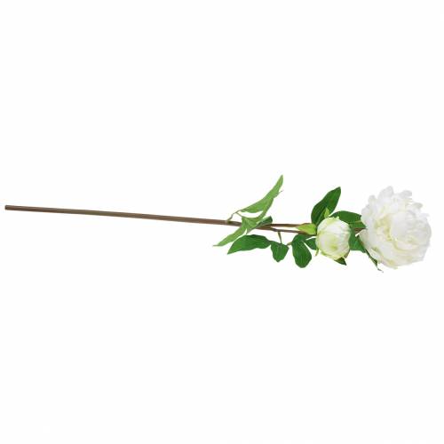 Floristik24 Peony white 72cm