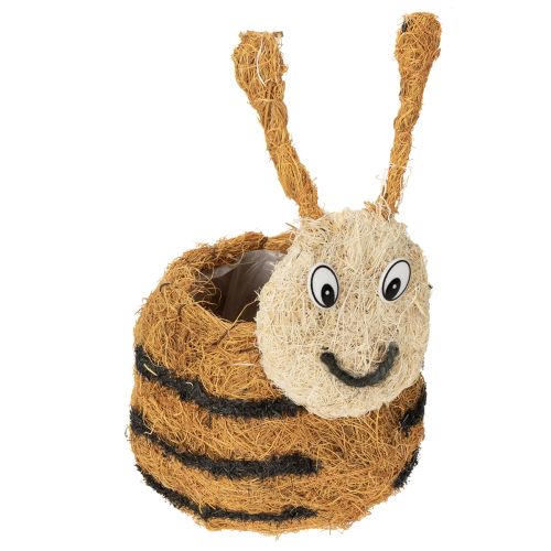 Floristik24 Bee figurine made from natural materials with a cute design for children's rooms, 24cm, 2 pieces