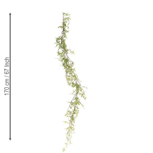 Product Asparagus garland for festive room decoration and stylish occasions, 170cm