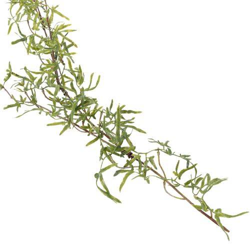 Product Asparagus garland for festive room decoration and stylish occasions, 170cm