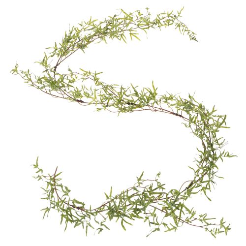 Product Asparagus garland for festive room decoration and stylish occasions, 170cm