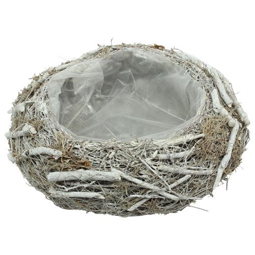 Floristik24 Planter bowl gray Ø25cm