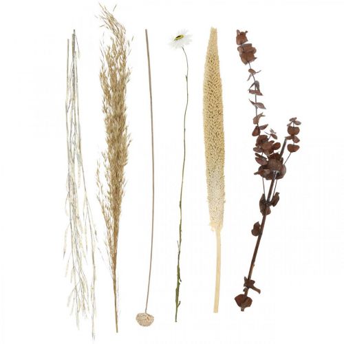 Floristik24 Bouquet of dried flowers with eucalyptus white DIY box H30-35cm