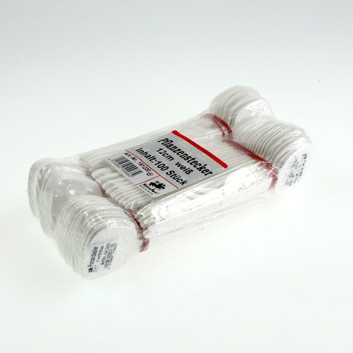 Floristik24 Plant sign 12cm 100p