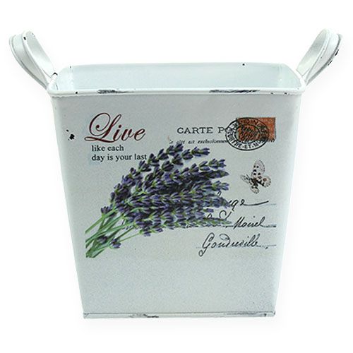 Floristik24 Plant bucket with handles 16x16x15.5cm 2pcs