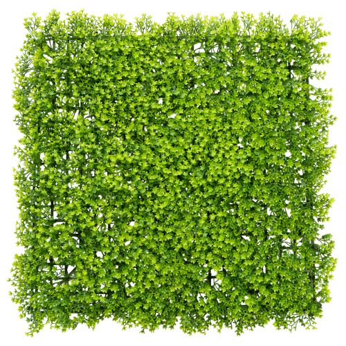 Artificial boxwood plant mat 55x55 cm for decorative wall design buy online | Floristik24.ie
