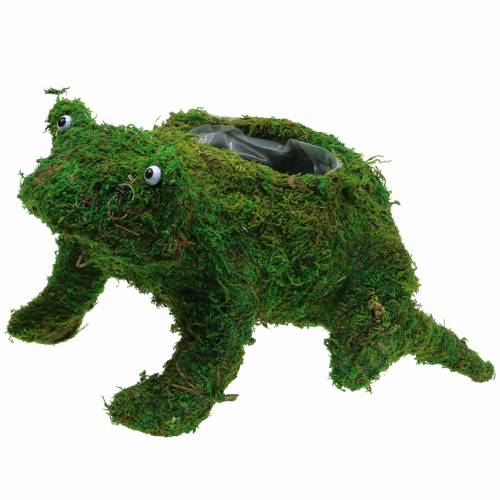Product Planter frog with moss green 35 × 25cm H21cm