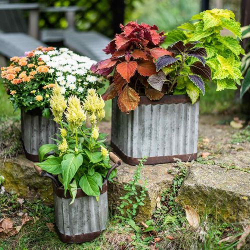 Floristik24 Planter with handles, square industrial style 36 / 31.5 / 24cm, set of 3