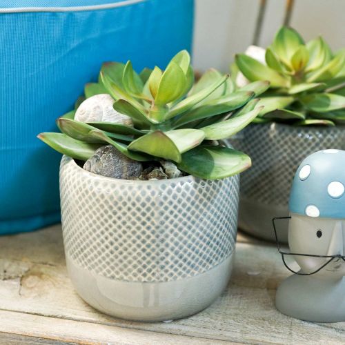 Floristik24 Ceramic planter, braided planter, ceramic pot Ø13cm 3pcs