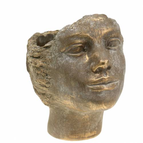 Plant head plant bust gold H20cm | Floristik24.ie