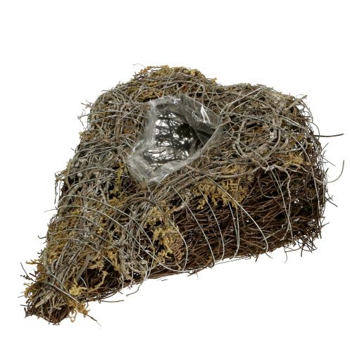 Floristik24 Plant heart made of vines and lichen nature 25cm x 19cm