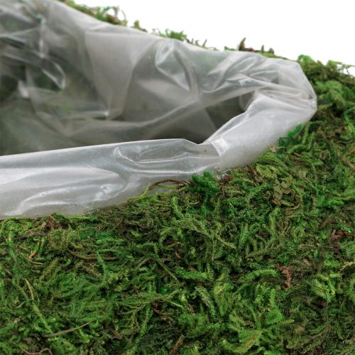 Floristik24 Plant heart moss 28cm x 23cm