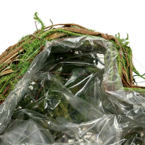 Product Plant heart moss and vine 30cm x 20cm