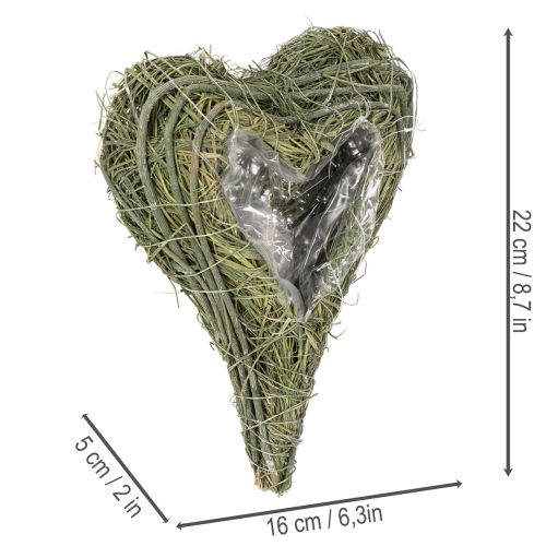 Plant heart made of natural material with foil insert, 22cm, 2 pieces | Floristik24.ie