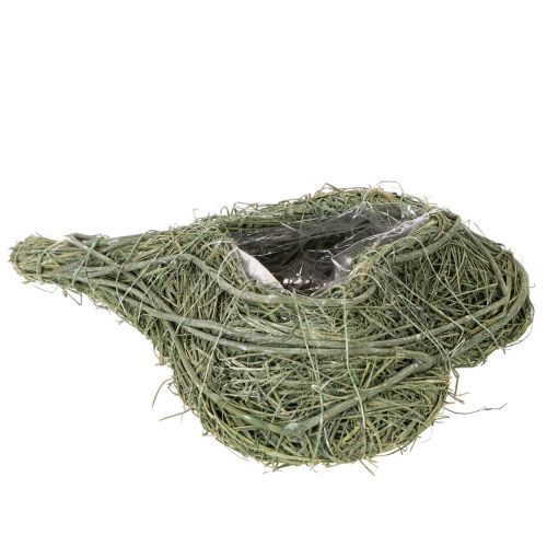 Natural plant heart for floristry with foil, 25cm | Floristik24.ie