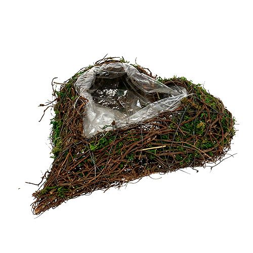Floristik24 Plant heart vine, moss 22cm x 25cm H7cm