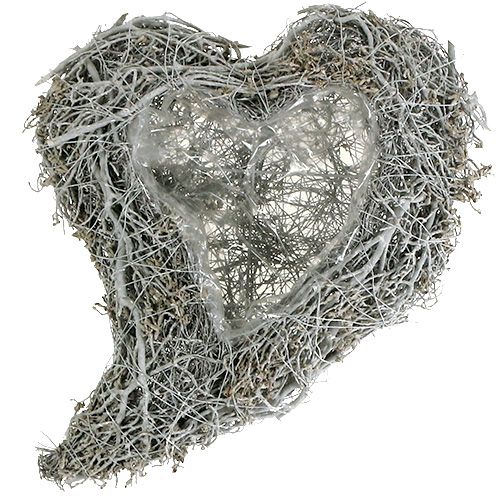 Floristik24 Plant Heart Vine White Heart for Planting 38×32×7.5cm