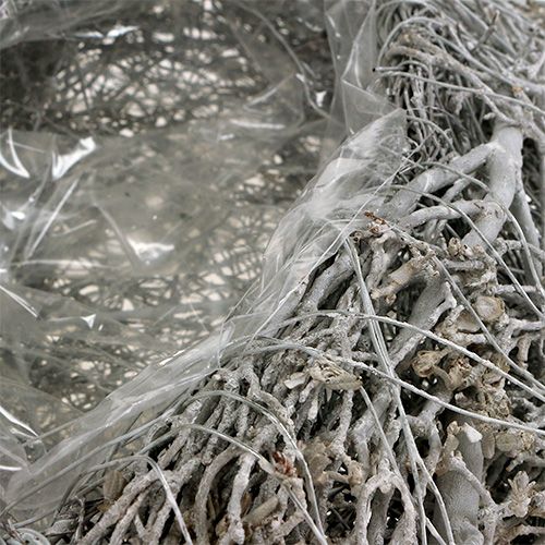 Floristik24 Plant Heart Vine White Heart for Planting 38×32×7.5cm