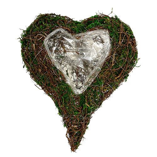 Plant heart as arrangement base 30x35cm H8cm