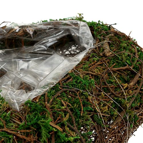 Floristik24 Plant heart as arrangement base 30x35cm H8cm