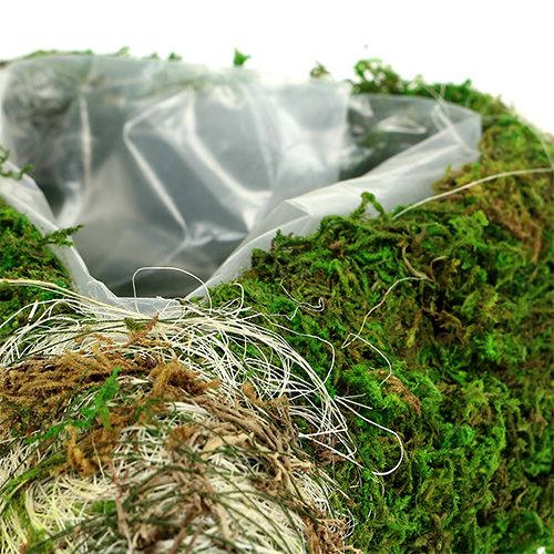 Floristik24 Plant heart moss 35cm x 25cm