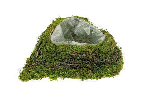 Floristik24 Plant heart vine, moss 22cm x 20cm H7cm